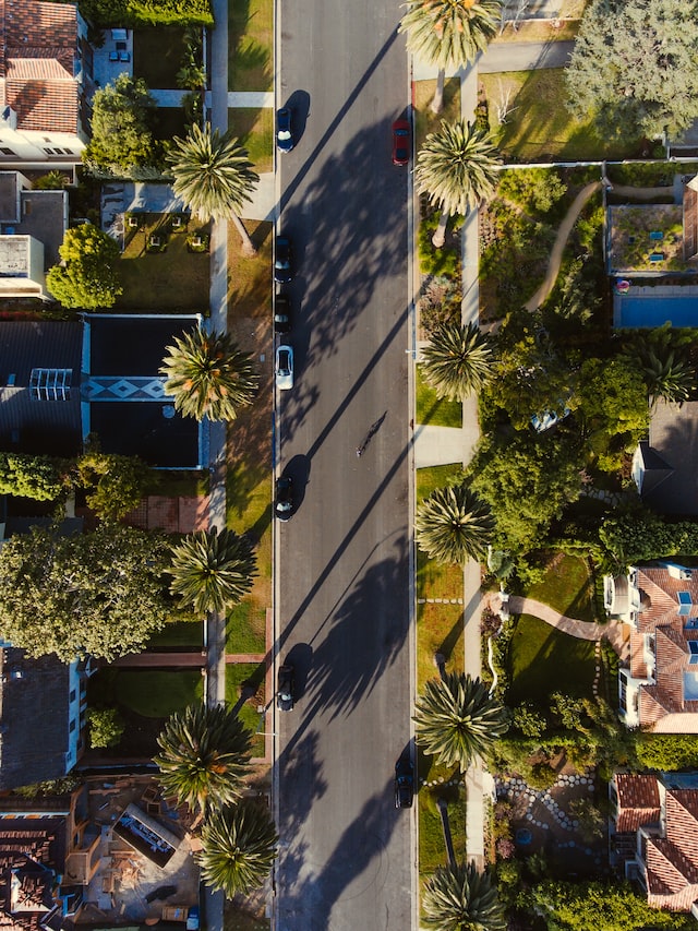 aerial view of manicured lawns on a palm-tree lines street